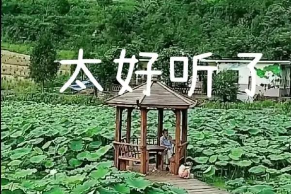 《拼了命的想念你》：一种不灭的爱与思念之歌
