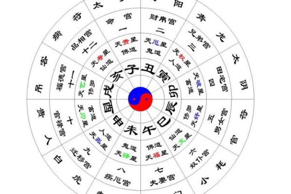 洞察命盘：如何通过命盘信息揭示人生潜能与发展方向