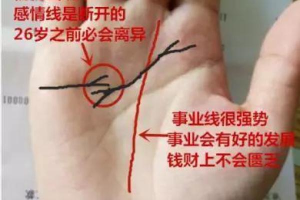 六五命与桃花命的完美合璧，成就人生的幸福与成功