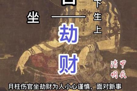 男命劫财坐劫财的奥秘与解读,揭示命理的深层次智慧