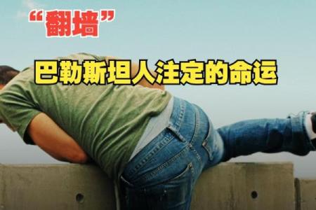 女命易嫁二夫君：人生选择与命运的深思