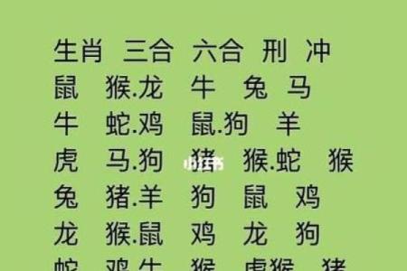 命理学与女性命运:探讨女性生肖的深层寓意与影响