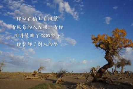 命里没有一滴水的象征与启示:从人生哲学看命运的流转