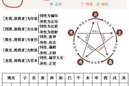 男命6两2:探讨其命理特征与人生启示