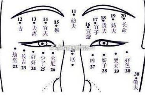 女命夫克子：探秘命理中的深刻寓意与人生启示