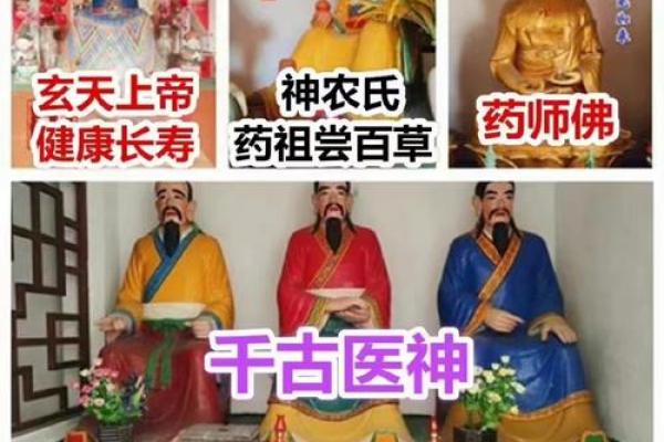 2023年兔年五行解析：兔与五行的奇妙关系与命运探秘