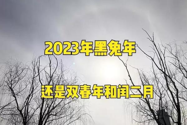 2023年兔年五行解析：兔与五行的奇妙关系与命运探秘