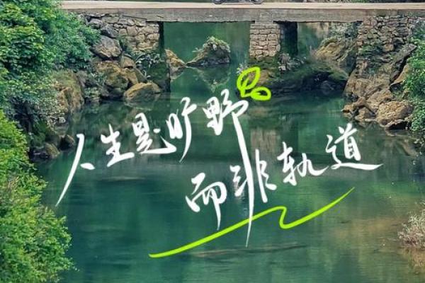 你有三条命的深意：探索生命的无限可能性