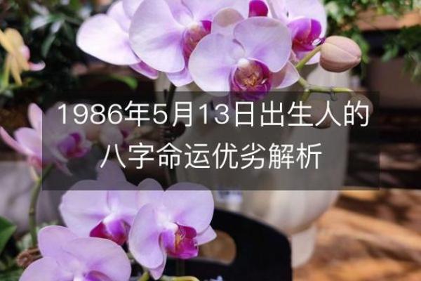 年命纳音水火的深刻内涵与人生启示