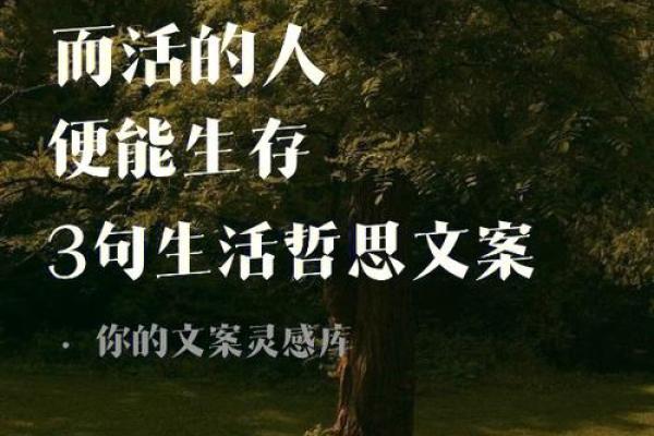 探索坤宫命人：温柔坚韧的独特魅力与生活哲学
