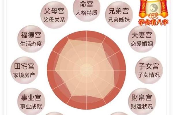探秘命宫：命理学中的命格与人生轨迹