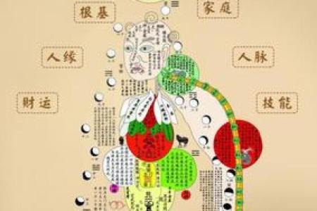 七斤女孩的命运:命理与人生的奇妙关系