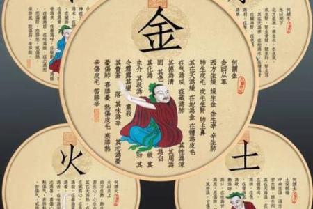 探索马的五行之命:您知道马在五行中代表什么吗?