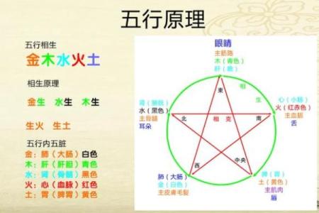 女命中正官与正印：命理中的两大吉星解析