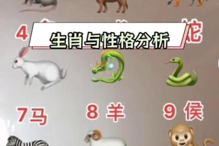 探秘命局中的食伤象征：解码你的生肖潜能与特质