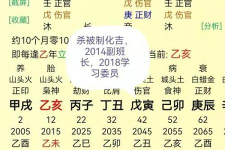 探秘命理学格局论：揭示人生的命运与潜能