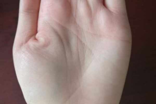 女人双手川字掌的命运解析与生活启示