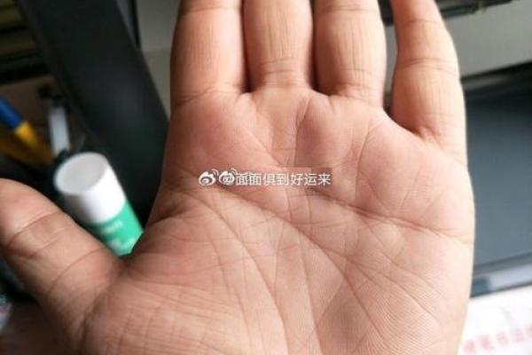 女人双手川字掌的命运解析与生活启示