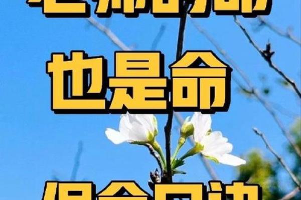 掌握命运的钥匙：如何解读你的命格与人生道路