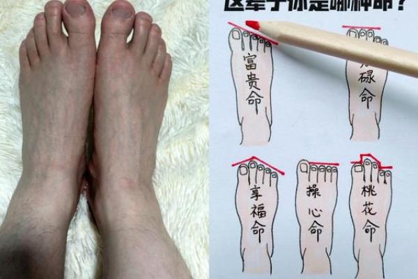 命里缺命的深层理解与实际运用