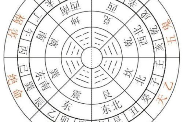 女命财杀枭解析：命理中的智慧与挑战