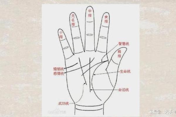 看手相为何关注年命，揭秘命运的奥秘与年限的关系
