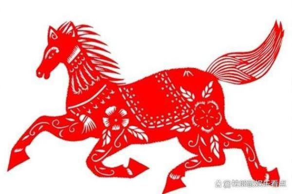 男66年出生的马：命运与性格的精彩探讨