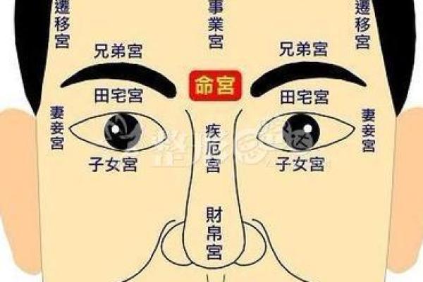 农历二月初九的命运解析：寻找属于你的生活轨迹