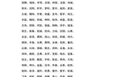 属木命人的微信名推荐与解析，展现独特个性与气质