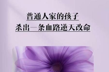 命好的女人：如何通过智慧与内涵改变命运轨迹