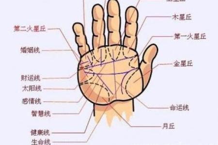 女生性格与旺夫命的秘密：了解她们的魅力和潜力