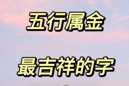 龙男与虎女的五行命理探秘:情感与性格的完美结合