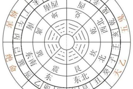 女命财杀枭解析：命理中的智慧与挑战