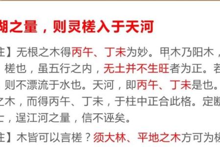无根之命男：命理解析与人生启示
