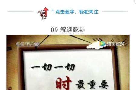 命里九个字的奥秘与人生启示