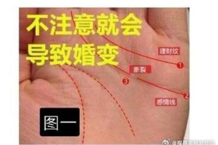 看手相为何关注年命,揭秘命运的奥秘与年限的关系