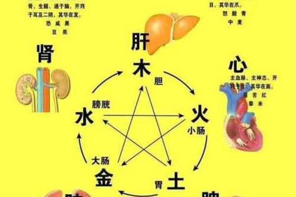 命理火太旺的护身之道：调和五行运势，平衡生活能量
