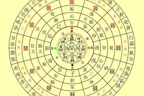 农历八月出生的人：五行属性与命理解析