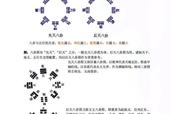 女命五两四格局解析：甲子命的独特魅力与命理智慧