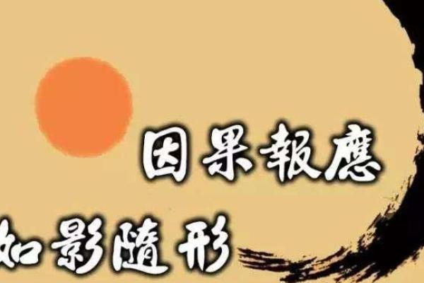 女性骨骼坚硬，命运的奥秘与智慧之路探寻