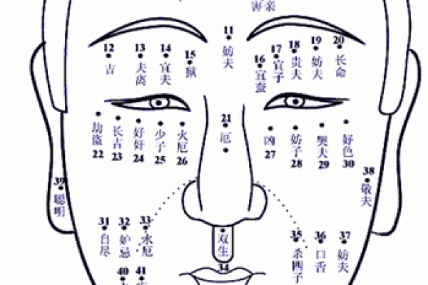 男人脸中间长痣的命运解析：从面相学看生活之路