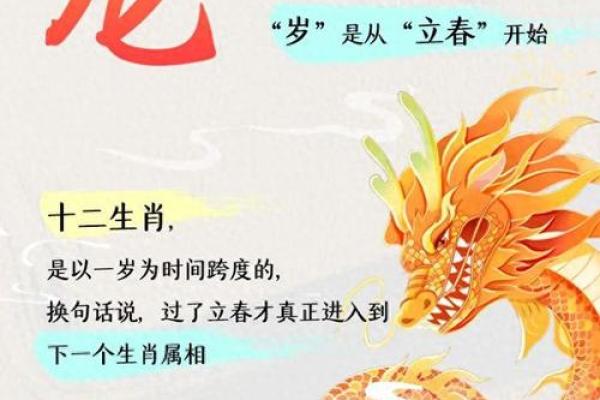 木命与火命属相解析：了解生肖背后的命理智慧