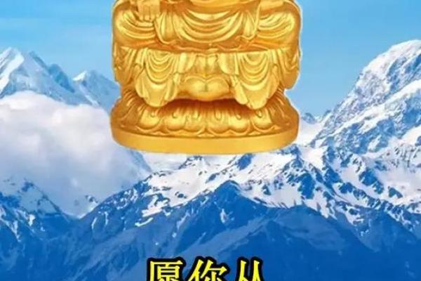 命里缺少贵气，如何弥补人生缺憾与追寻幸福之路？