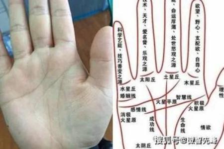看手相识命运：双手的秘密与人生的启示