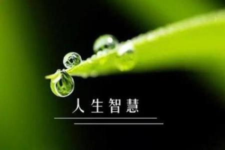 老年人四脚长拐杖的神秘命理:助力健康与生活的智慧选择