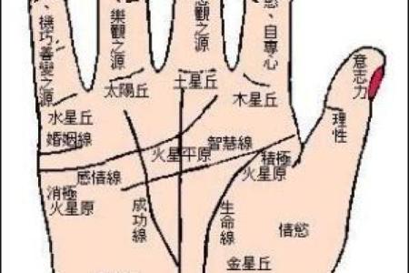 女性1999年命理解析：揭秘你的命运与成长之路