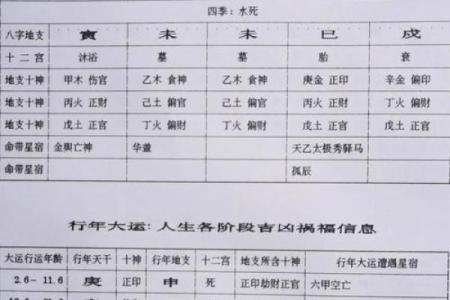 伤官旺命格解析:探寻命理中的智慧与挑战
