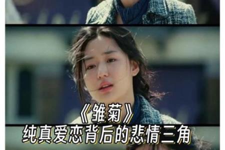 命里无妻之命:命运与爱情交织的谜题