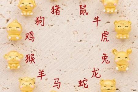 揭秘:救人一命的菩萨心隐藏在属相中,哪一生肖最具仁爱精神?