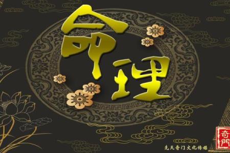探索女命带天罗的命理奥秘：天赋与挑战并存的命局